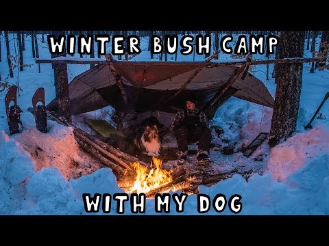 Winter Bush Camp with My Dog for 2 Nights