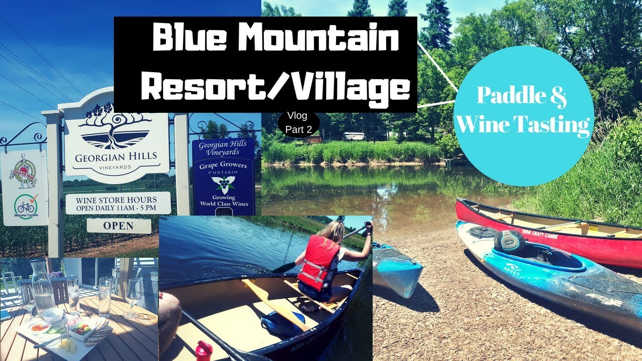 Blue Mountains Wine Tasting: Everything you need to know about the Blue Mountains in one post! 🍷