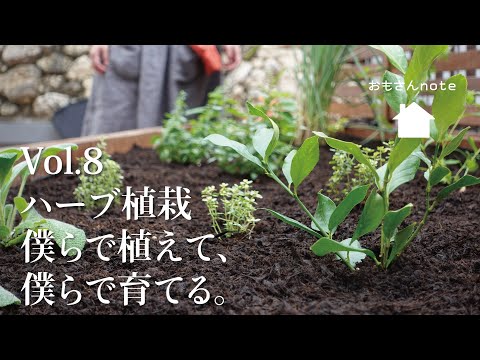 この春、苗木を鳥から守るにはどうすればよいでしょうか？羽のある鳥が若い植物を食べないようにするための 5 つのヒント  庭園