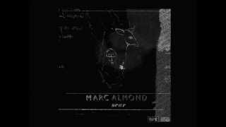Marc Almond  Scar