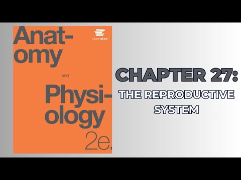 OpenStax Anatomy and Physiology 2e (Audiobook) - Chapter 27: The Reproductive System
