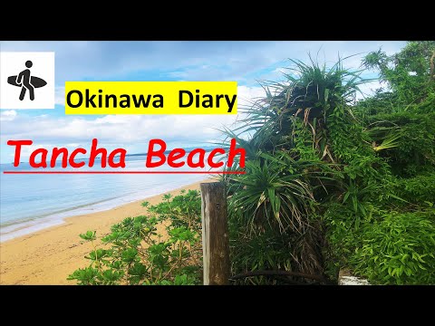 Tancha Beach🏄‍♀️🤿| Okinawa's one of the most beautiful beach😍