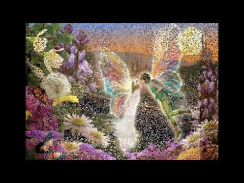 SILBIDO DE AMOR Doogy Degli Armonium WANTED. is