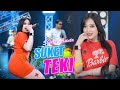 Shinta Arsinta Suket Teki Official Music Video Wong Salah Ora Gelem Ngaku Salah STAR MUSIC