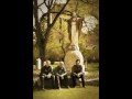 tree63-Our king 