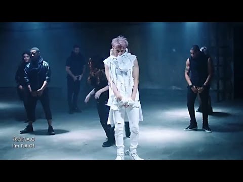 Z.TAO T.A.O. full dance mirrored