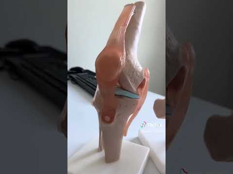 Welcome to Spine Clinic at Hua Hin Health Park!!