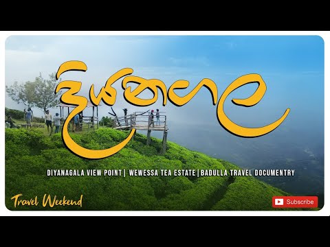 Diyanagala View Point | Wewesse Tea Estate | Badulla Travel Documentary #travelweekend #offroad