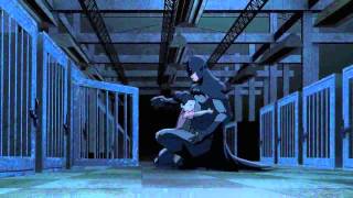 batman vs robin  AMV 2015