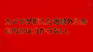 青年がカメラに捉えたもの…【虹6】