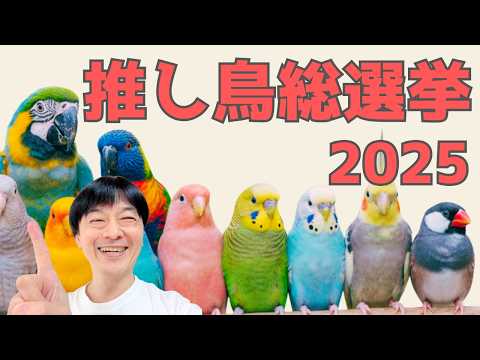 YouTubeで『推し鳥選手権2025』を見る