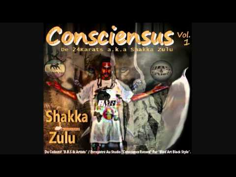 16-Remix Anti-Sarko-24Karats a.k.a Shakka Zulu.wmv