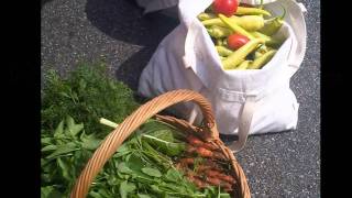 Congregation Dor Tamid - 2012 Montage (low res)