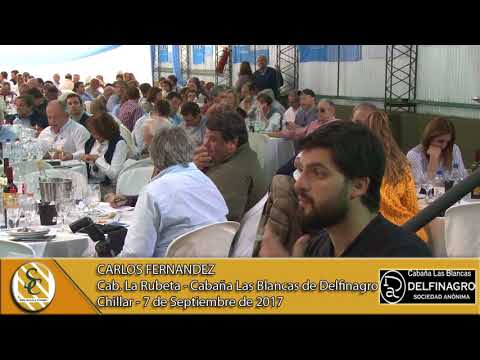 07-09-17 Nota Carlos Fernandez - Cabaña Las Blancas de Delfinagro S.A. - Chillar