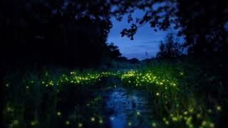 If Only Dove Cameron (slowed + reverb)