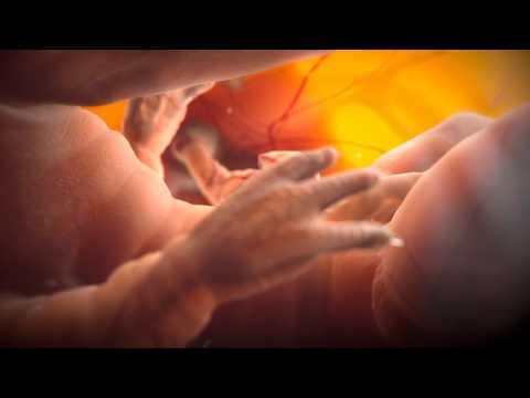 Gothenburg International Film Festival intro 2011