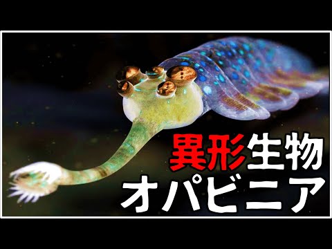 IUCN分類における絶滅の危険性を示す図。