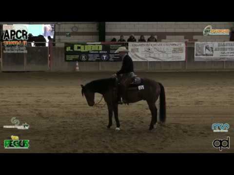 NRHA APCR APRIL CIRCLES 2019 - RISSO CLAUDIO & RS STARFIGHTER LENA score 72,5