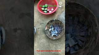 Eel Fish Cooking — Village Tribe People
