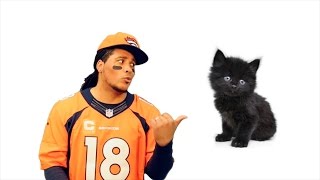 Here Kitty Kitty (Broncos vs Panthers DISS SONG)
