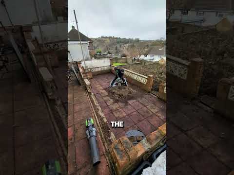 $700 Yard & Lawn Transformation Done Right #shorts #satisfying #gardening