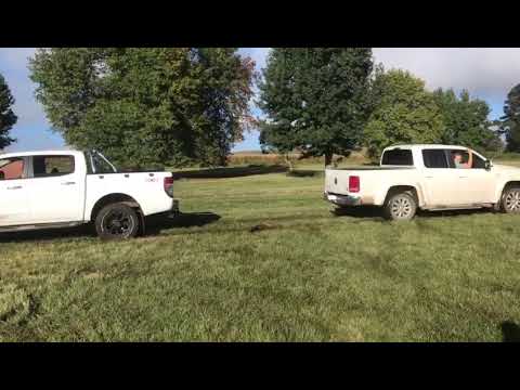 VW Amarok VS Ford Ranger tug of war #shorts