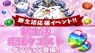 [신생활 응원 퀘스트 던전] 발키리 -CIEL- pt (+갓페 2알)