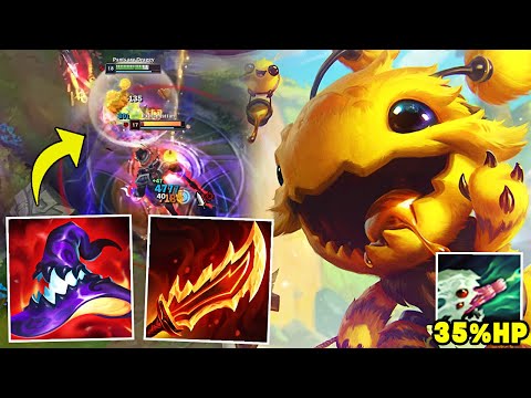 Kog'maw but my W does 35% maximum true damage and I shred everything in my path