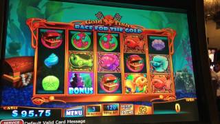 LIVE PLAY on Goldfish Race for the Gold Slot Machine