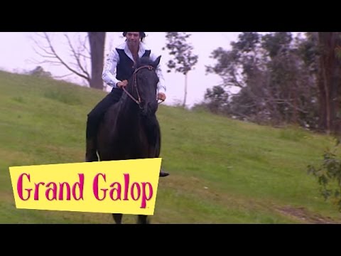 Grand Galop 211 - Libre comme l'air (Partie 2) | HD | Épisode Complet