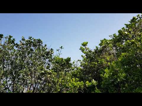 2021 0324 the moving castle  of Hawool