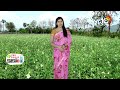 ఖరీఫ్ నువ్వుసాగులో మెళకువలు | Techniques in Sesame Cultivation | Matti Manishi | 10TV - Video