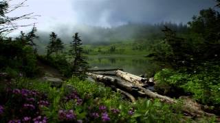 Wisdom Film - Fr. Maximillian Mizzi - "Franciscan Blessing"