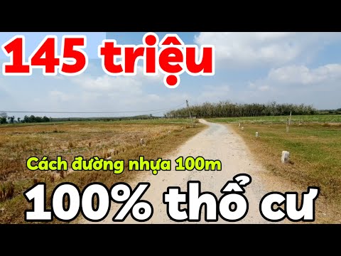 Bán đất 100% thổ cư nở hậu giá 145 triệu bao sổ hồng cách đường nhựa 100m ở xã Hòa Hội Tây Ninh