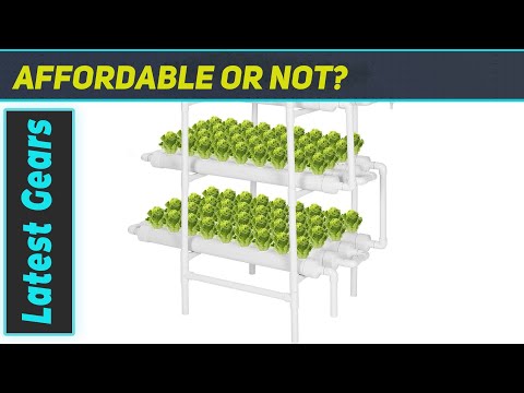 VIVOSUN Hydroponics Growing System: The Best High-Yield Indoor Gardening Kit