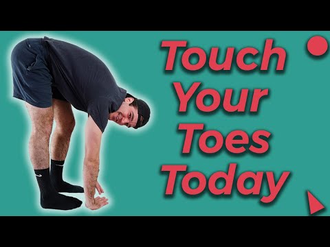 Touch Your Toes Today - 2 Exercises You Need