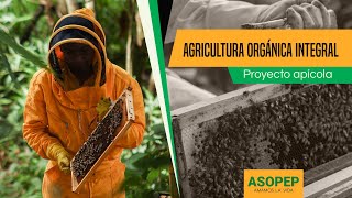 Agricultura orgánica integral: proyecto apícola