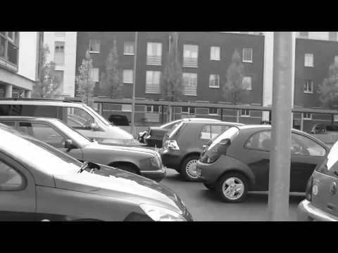 Leuphana ARTotale 2009: Team 42 Crew C: Ohne Titel (Dave the Chimp)