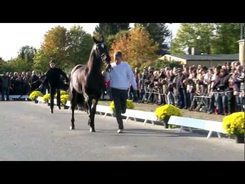 Hancock v. Imperio - Münchhausen