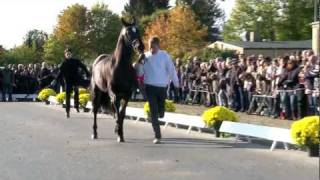 Video of Hancock