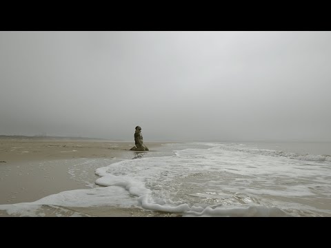 NASS - D'année En Année