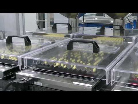 SHIMISEI - 製造工程 サムネイル