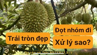 Nông dân trồng ngô đang bị nghèo hóa (Báo NN Việt Nam)