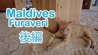 【モルディブ（フラヴェリ）（後編）】島の中は天国でした！