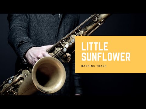 Little Sunflower Backing Track - Jazz Play Along!