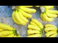 Makan Makan Malaysia