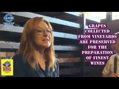 It’s now the vineyards of Masi Agricola!