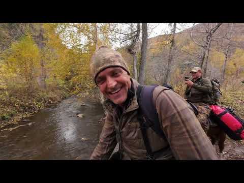 Maral Hunt Kazakhstan 2024