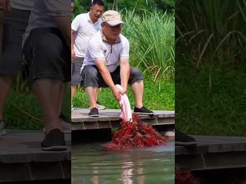 wow bisa di coba #quotes #lobster #mancing #seafood #wow #keren #amazing