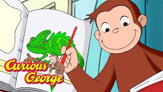 Babysitting a Chamelion!  🐵 Full Episodes | Curious George